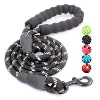 5 FT Strong Dog Leash with Comfortable Padded Handle and Highly Reflective Threads Dog Leashes for Medium and Large Dogs